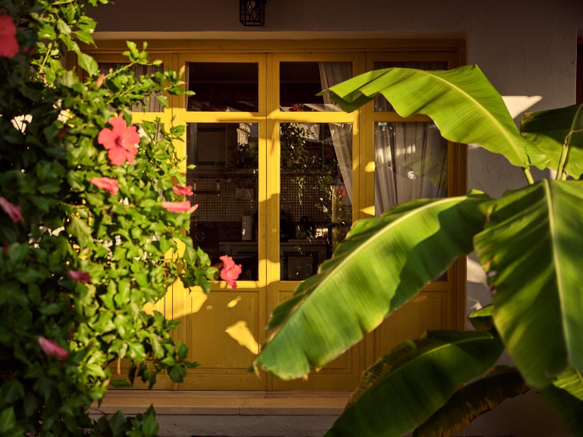 Zakynthos Villas Vasilikos  Exterior photo